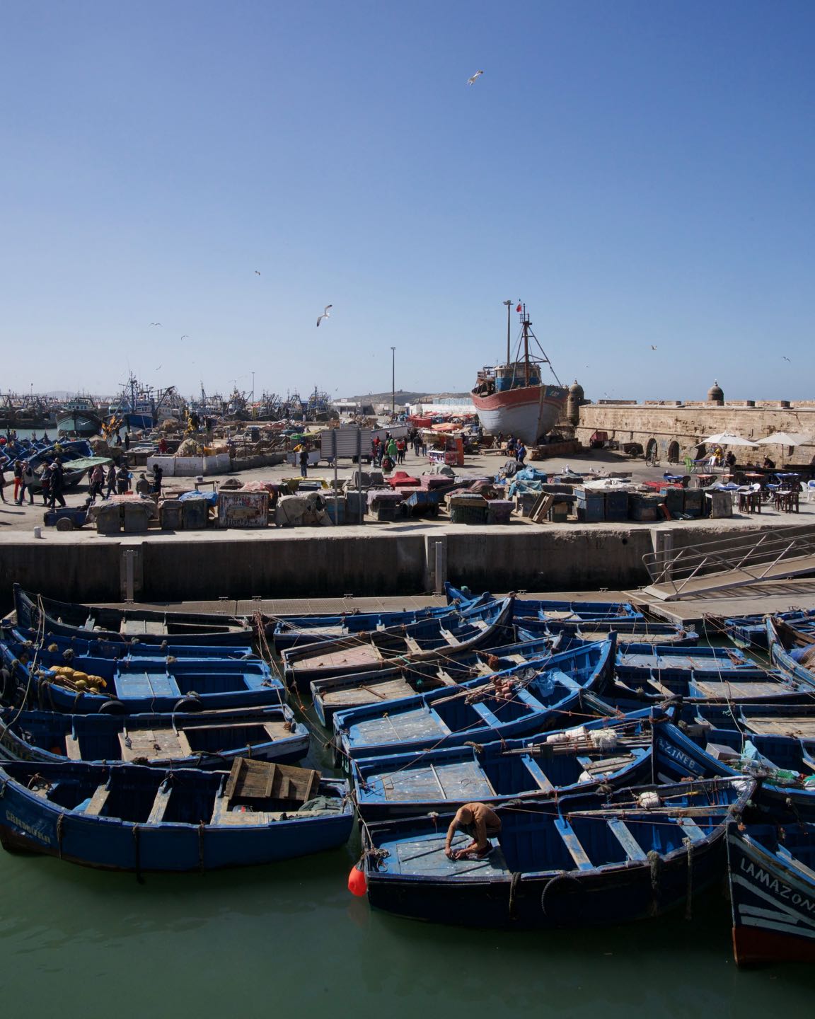 Canoas en el puerto de Essaouira